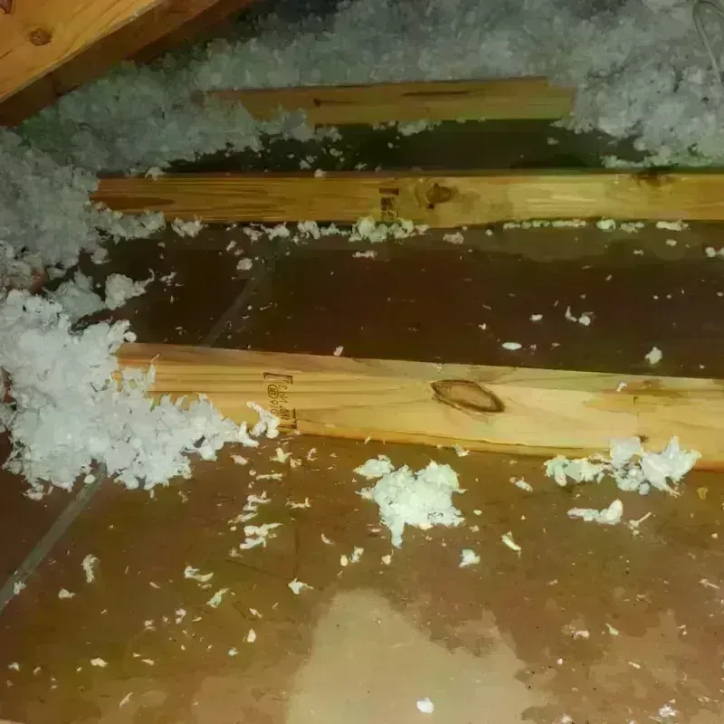 Attic Water Damage in Dresden, TN